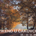 Vikend u Čakovcu (10.-12.11.2023.)